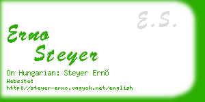 erno steyer business card