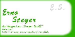 erno steyer business card